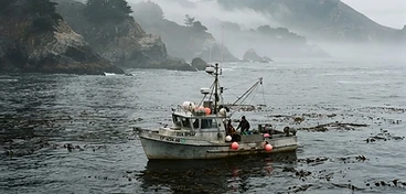 Monterey Bay Charters