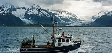 Homer Halibut Charters