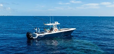 Marathon Humps Charters