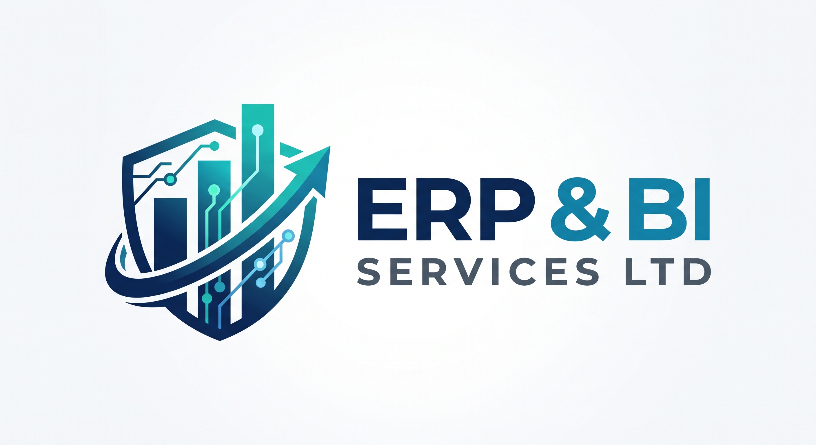ERP & BI Services LTD