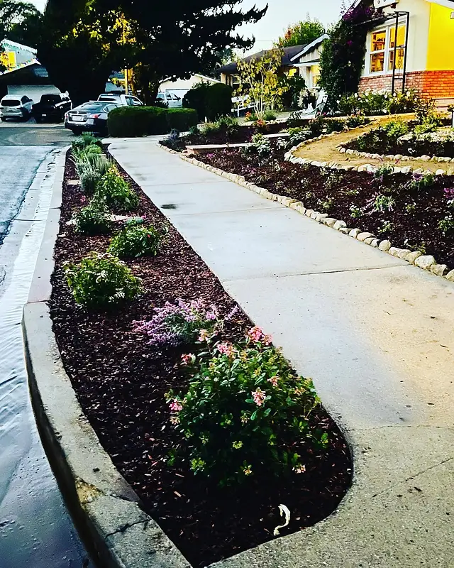 Curbside Planters & DG Garden Path — hardscape project in Santa Barbara, CA