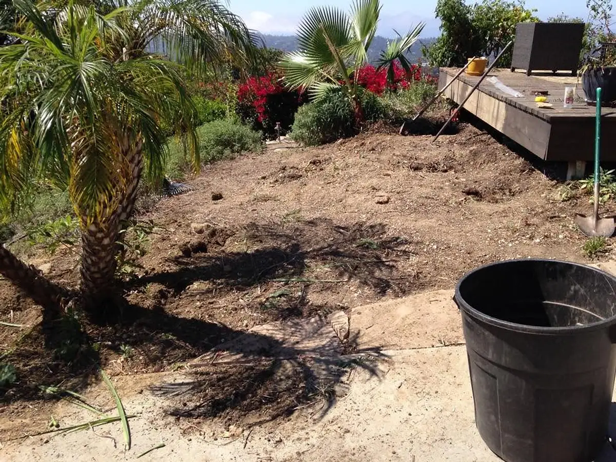 Hillside yard before work by Reyes Gardening Services
