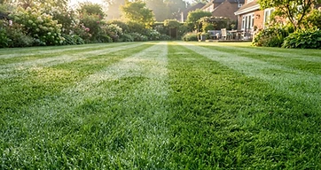 Lawn Care by Top Notch Irrigation