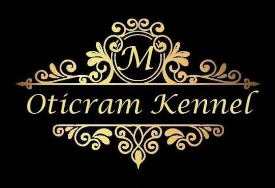 Oticram Kennel