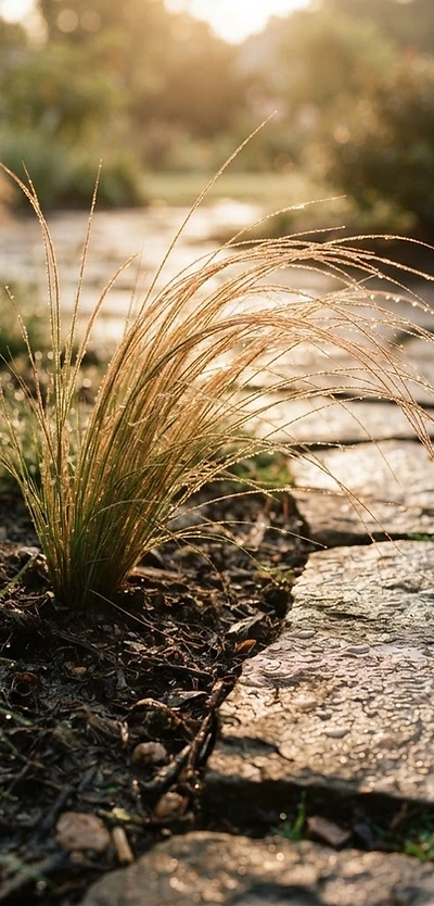 Rich cultivated soil
