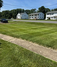 Lawn Care