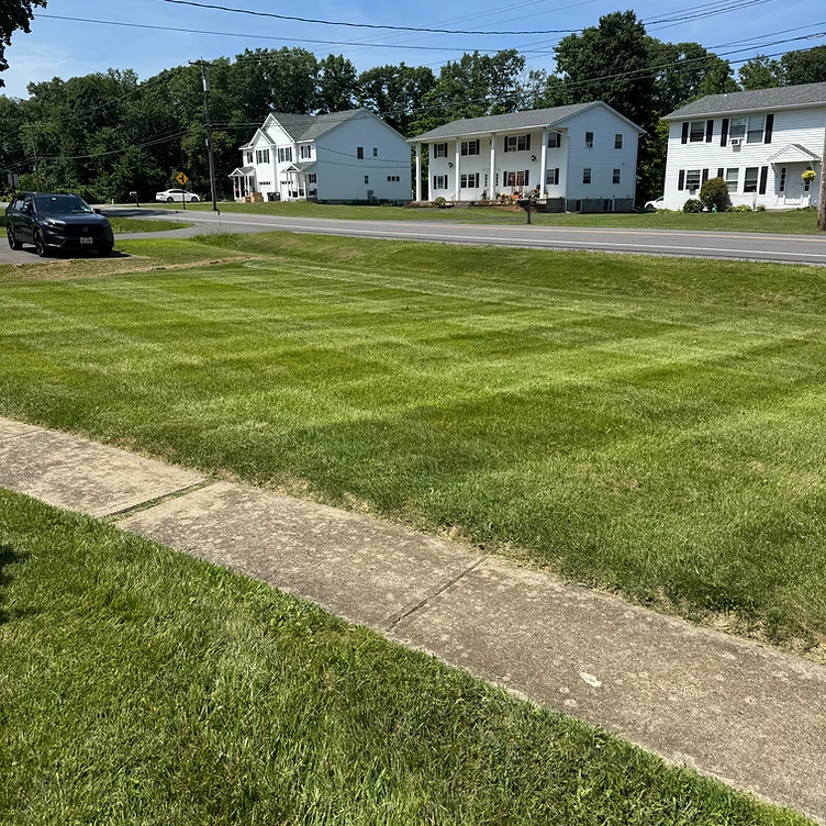 VIVE Landscaping maintained lawn