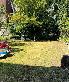 Rental Clean-Up