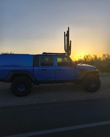 Saguaro Sunset