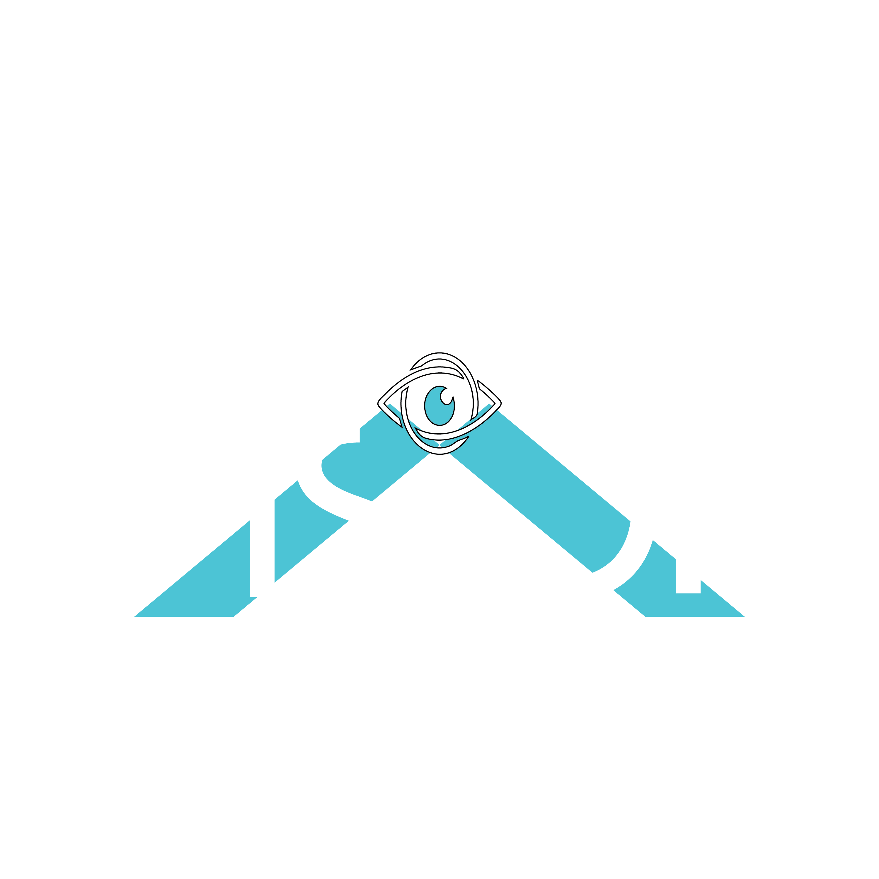 Vision X