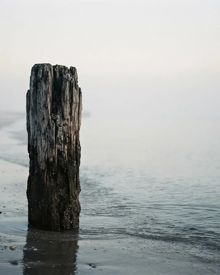 A weathered pier post on a calm shoreline