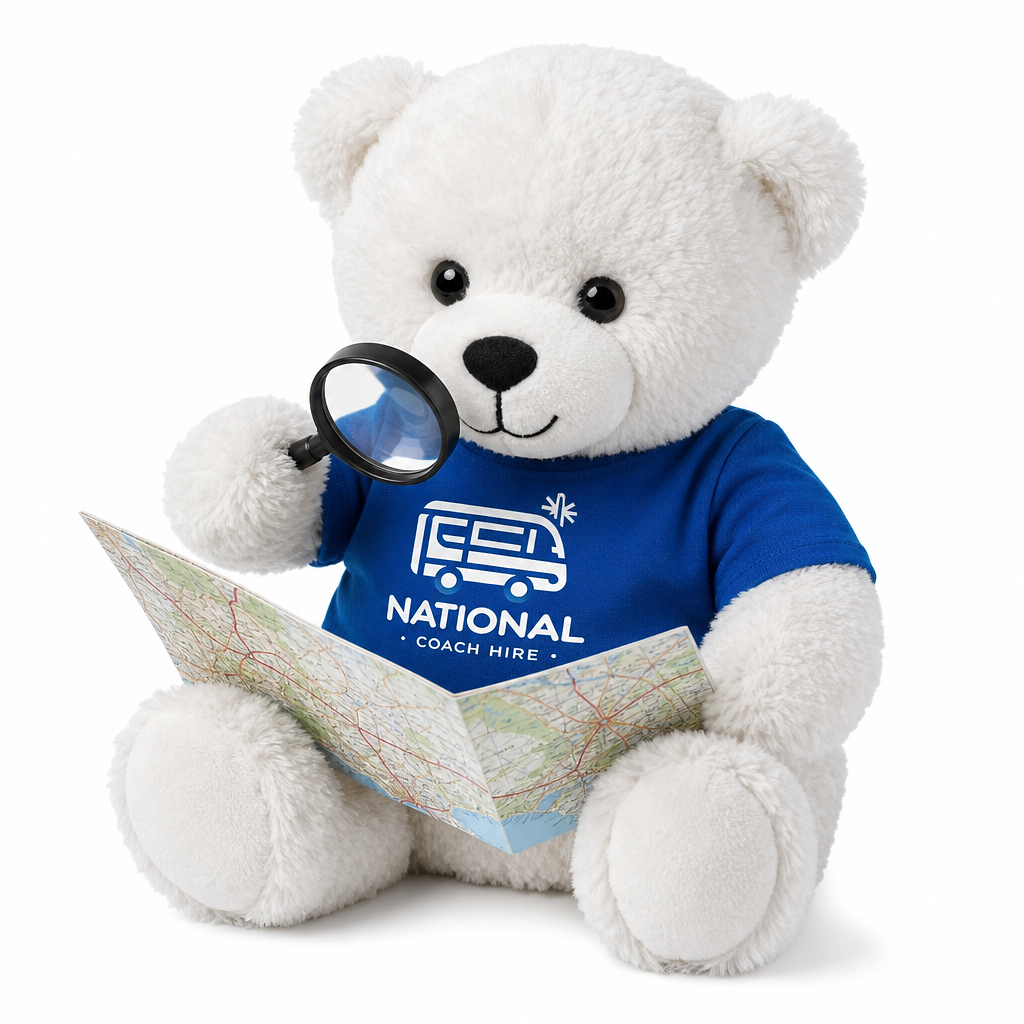 National Coach Hire mascot bear inspecting a road map with a magnifying glass
