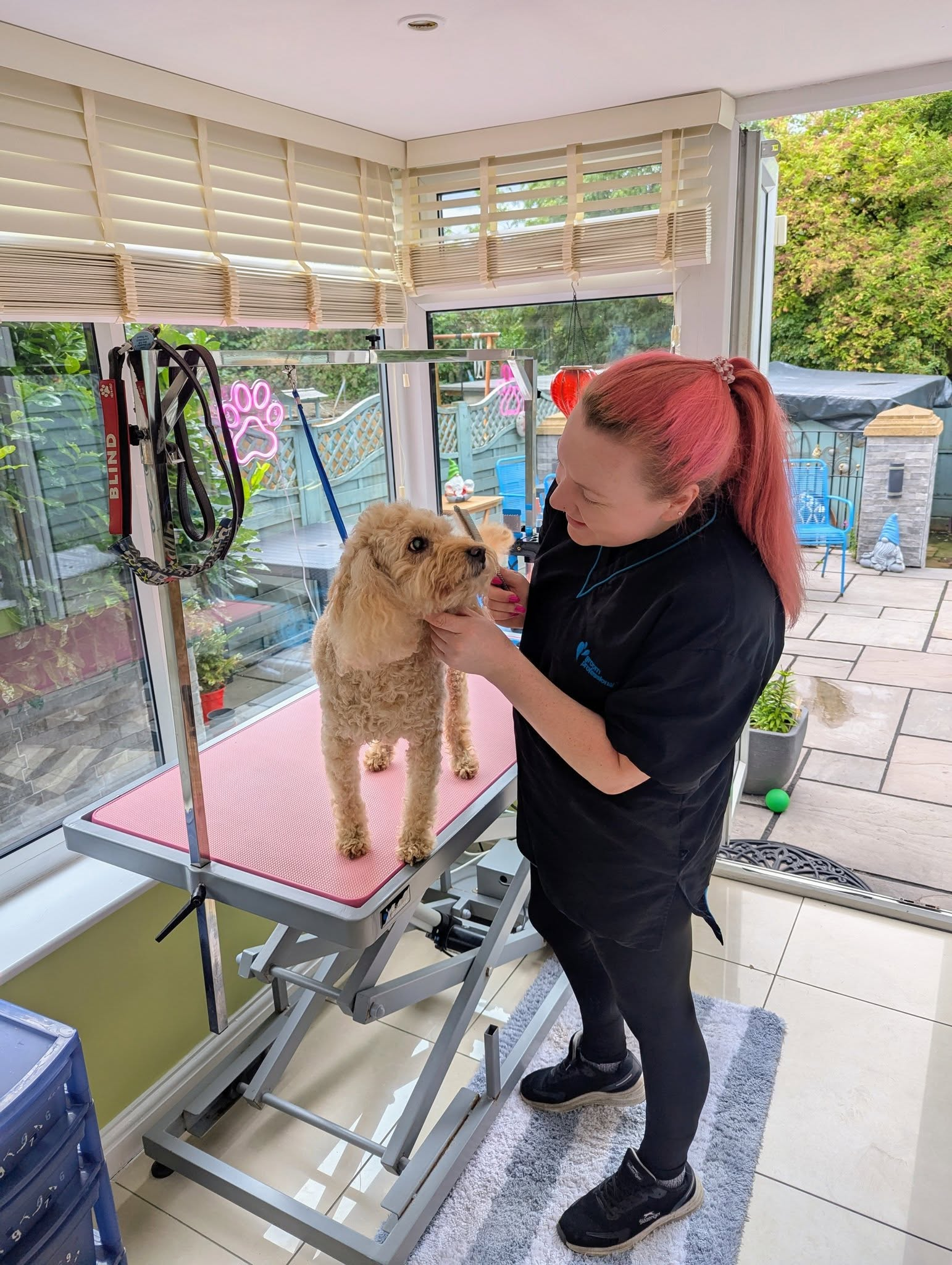 Christine, the Hot Paws Emporium groomer, gently grooming a curly-coated dog during a one-to-one session