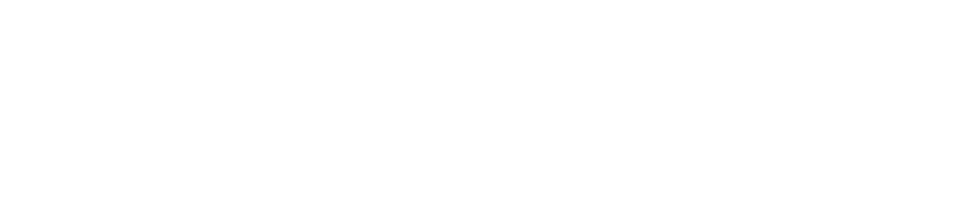 Wing Women Consulting
