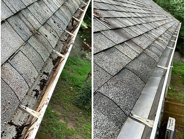 Gutter Cleaning