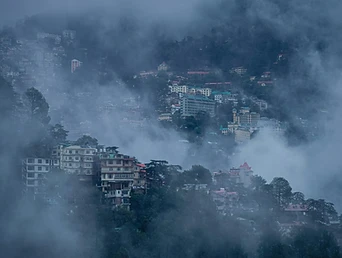 Shimla