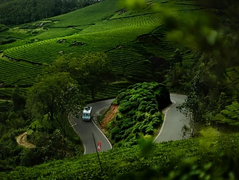 Wayanad
