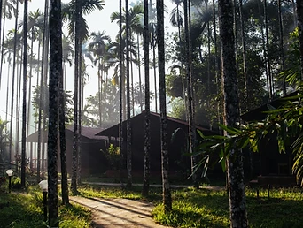 Coorg