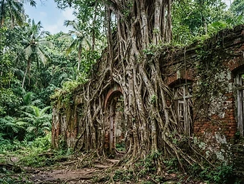 Ross Island