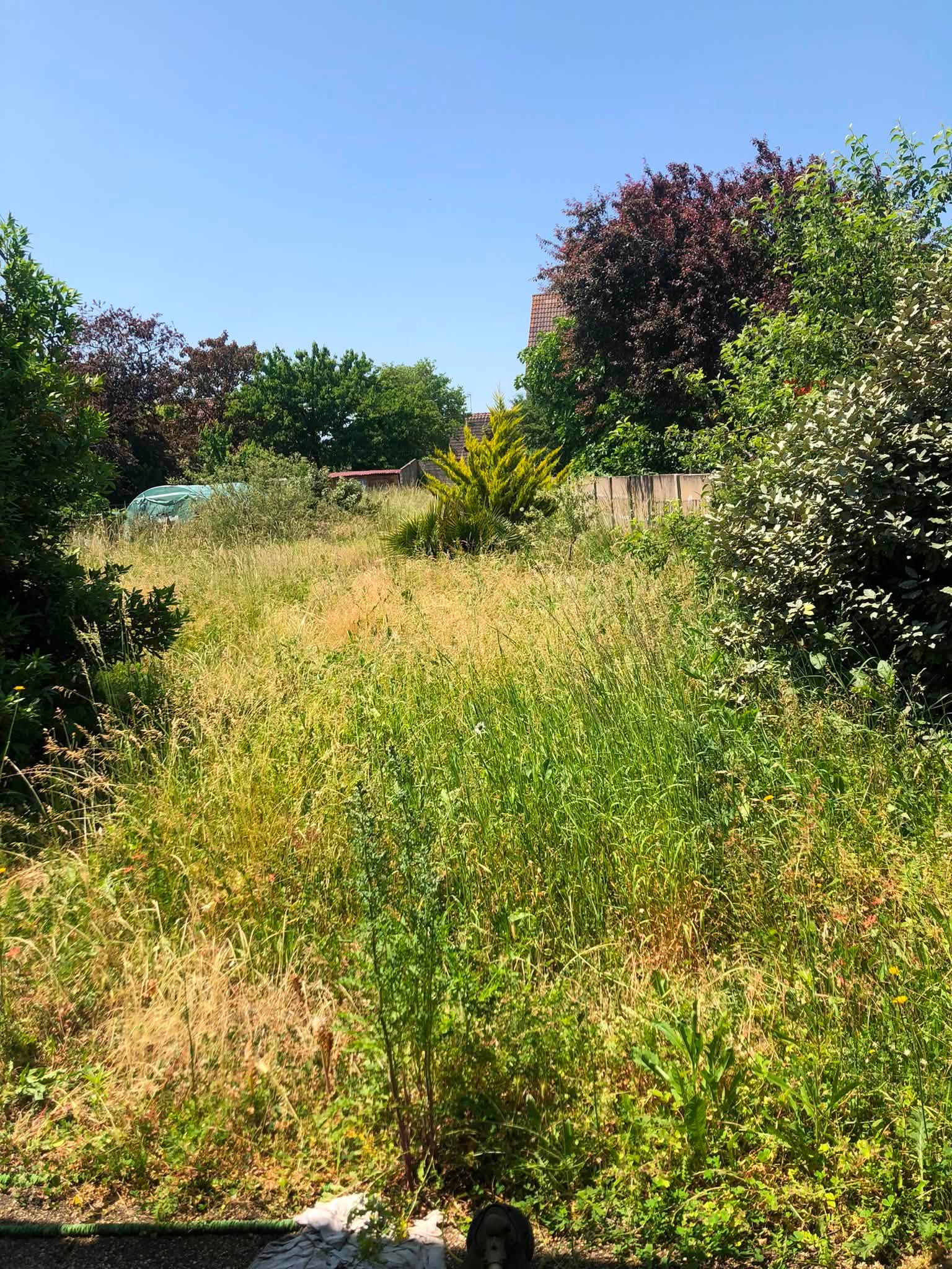 Entretien de massifs et plantations