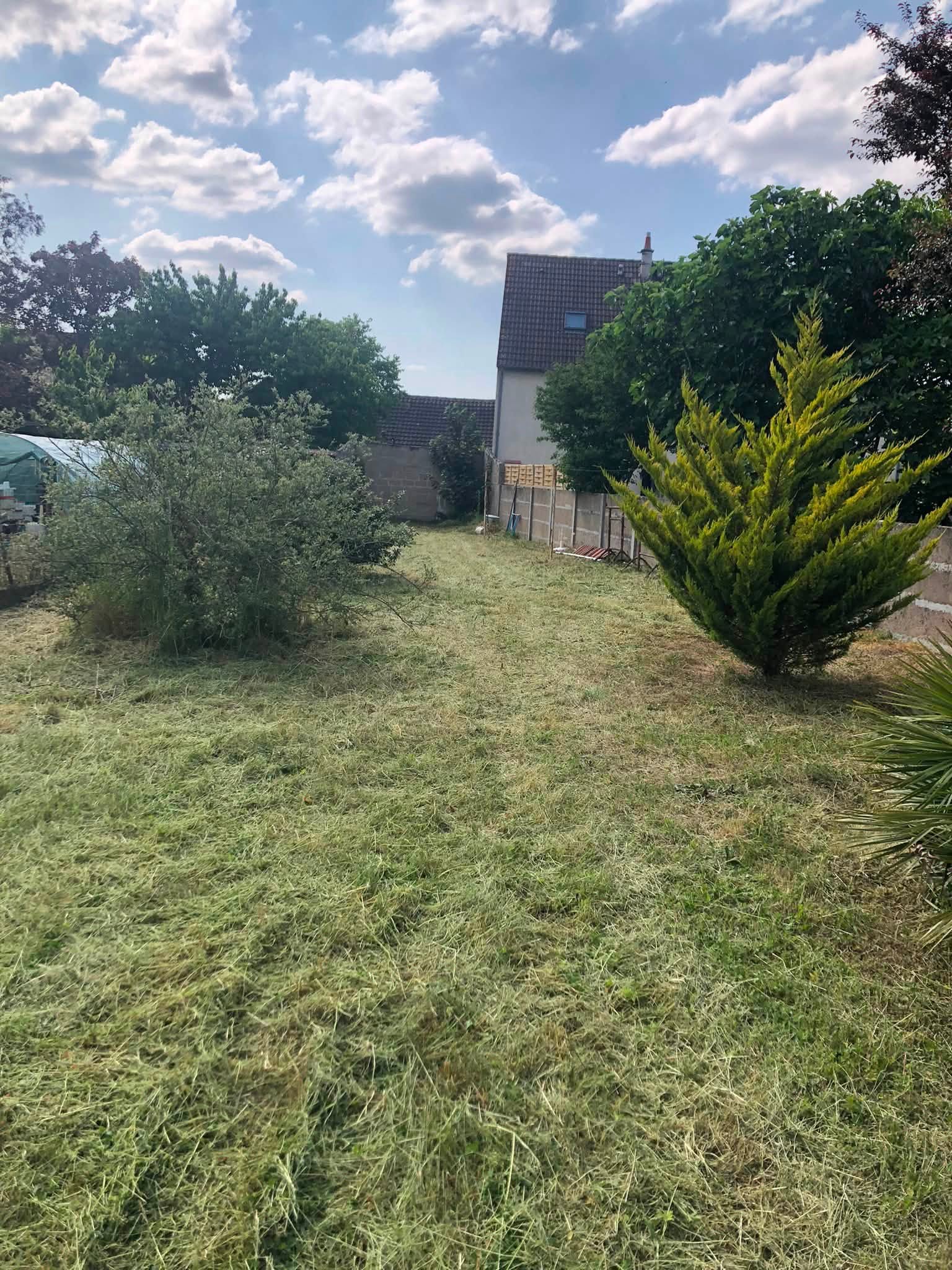 Jardin entretenu après tonte — Ei Teddy Paradis