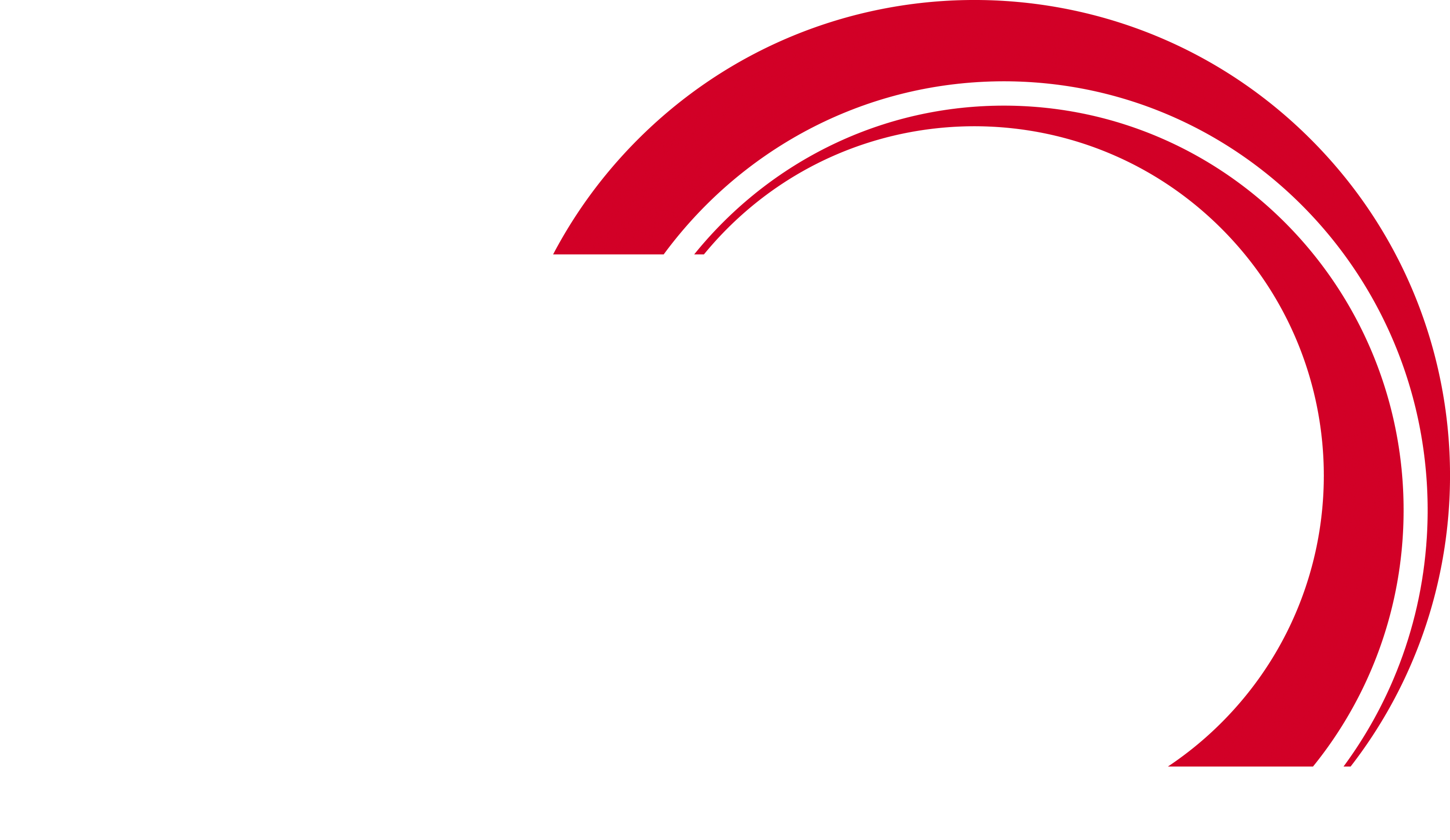 Bachner Group