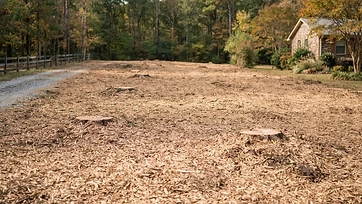 How to Prepare for Land Clearing: What Happens on the Day
