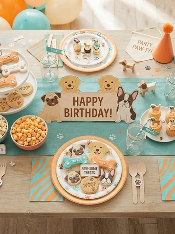 Bluey Themed Birthday Party