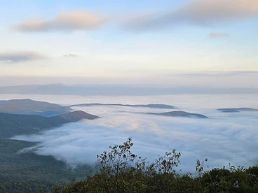 Blue Ridge Valley — Cloud Sea at Dawn