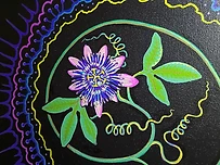 Cristina Rodriguez-Navarro, artwork 2. Open full image.