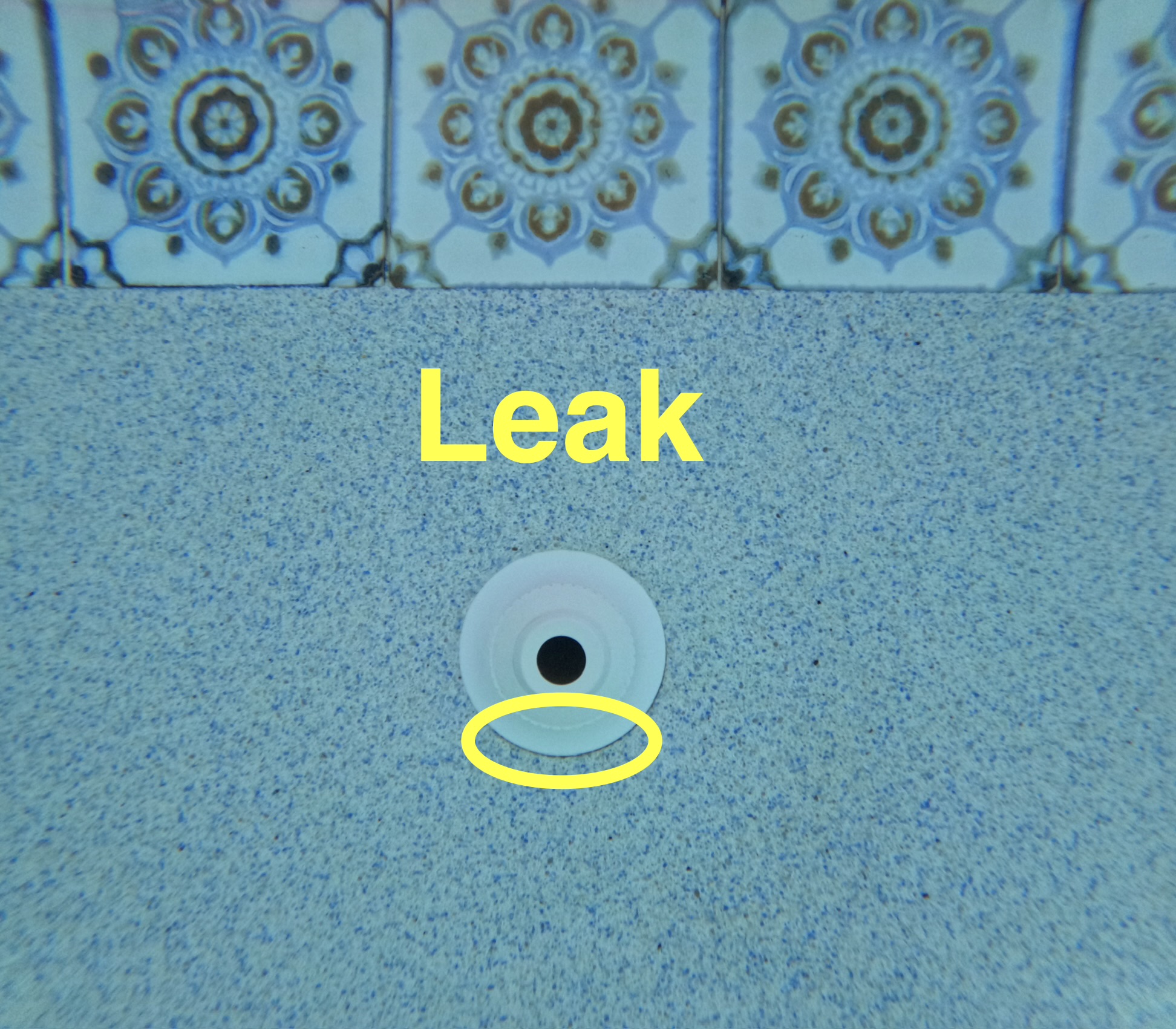 Why Professional Leak Detection Saves You Money