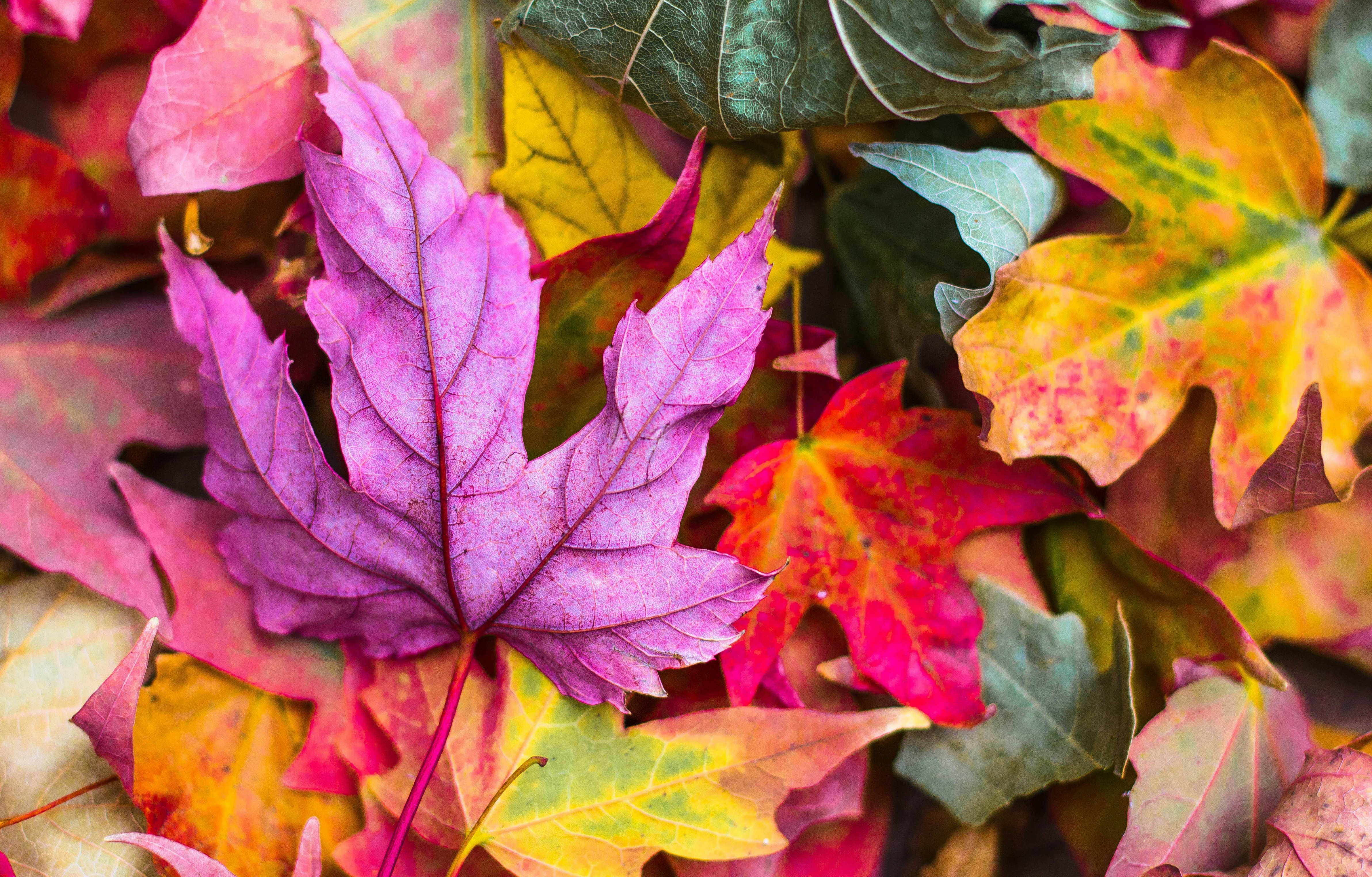 Should You List Your Central NJ Home in Fall & Winter, or Wait for Spring?