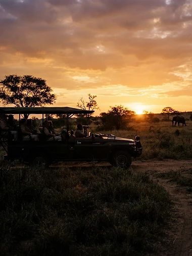 Dusk over the Kruger bushveld, South Africa
