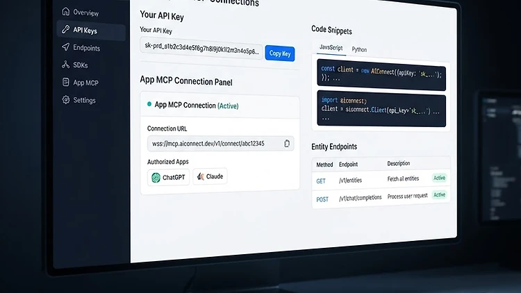TMSDASH developer API portal with an API key field, JavaScript and Python code snippets, and an App MCP connection panel
