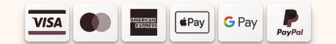 Accepted payment methods: Visa, Mastercard, American Express, Apple Pay, Google Pay, and PayPal