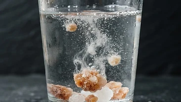 Electrolytes and Hydration During a Lion Diet Fast: How Much Salt Do You Really Need?