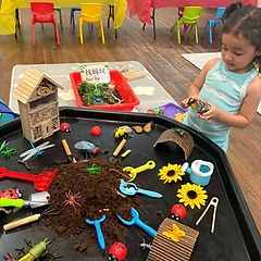 Sensory Exploration
