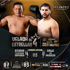 Combate estelar