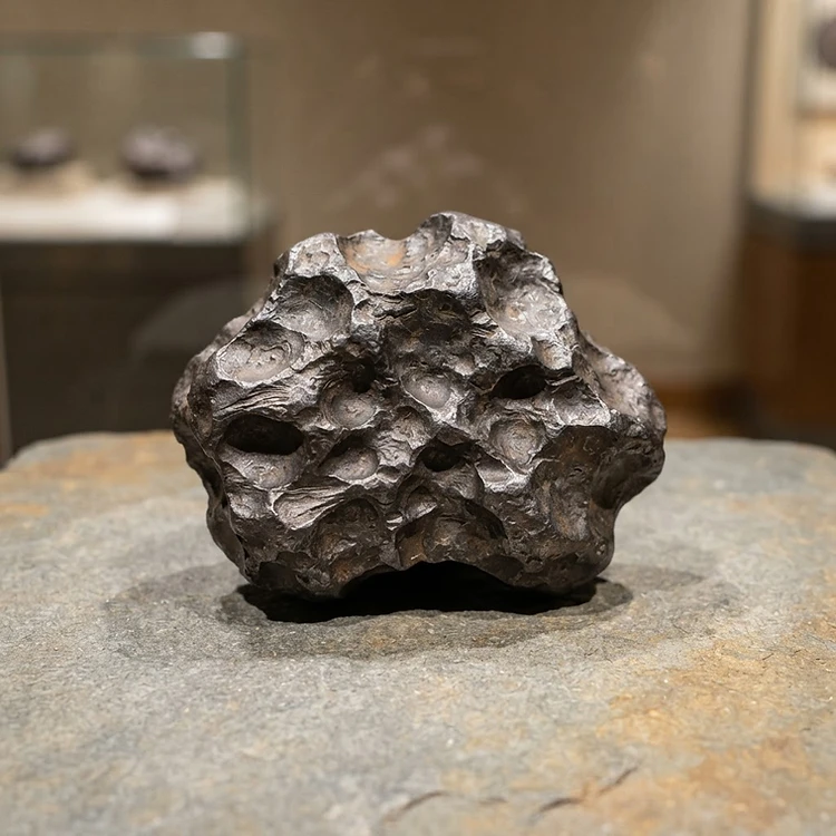 Meteorito de Hierro NWA con Regmagliptos