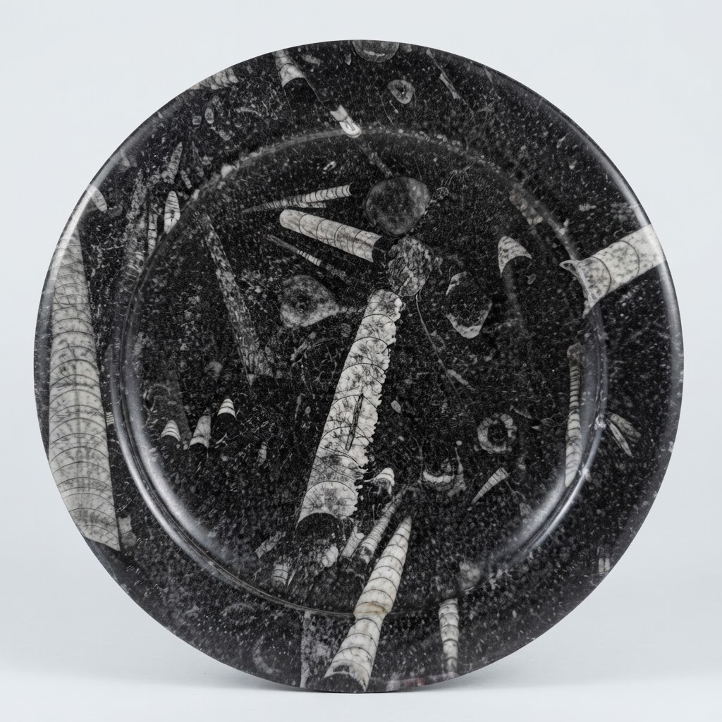 Plato decorativo en mármol con fósiles de ortoceras