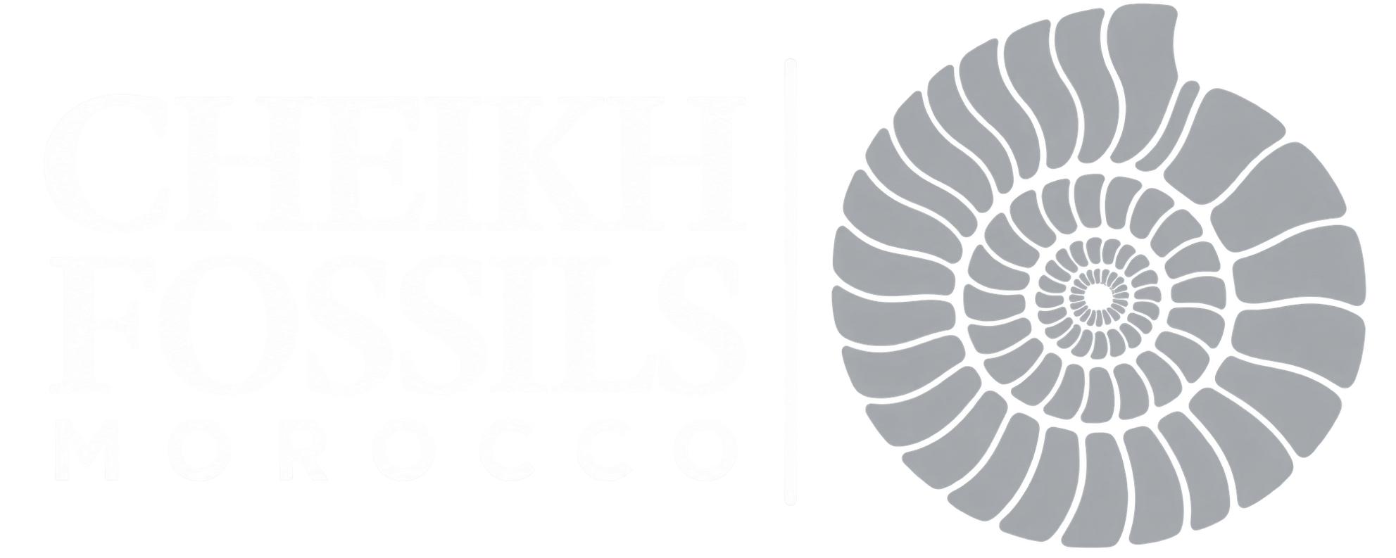 Cheikh Fossils Morocco