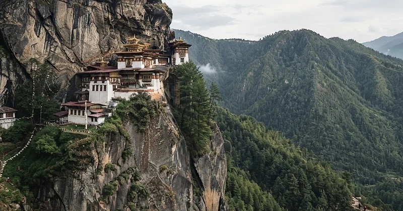 Day 8 · The Climb to the Nest