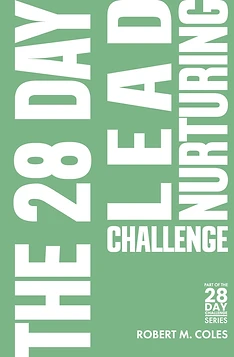 The 28 Day Lead Nurturing Challenge book cover