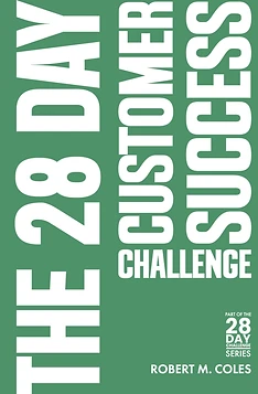 The 28 Day Customer Success Challenge book cover