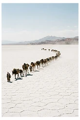 Salt Roads