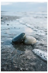 Saltwater Hearts