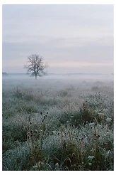 The Hour Before Dawn