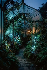 The Memory Garden