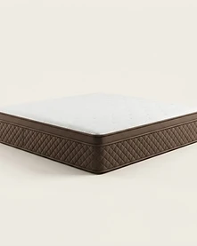 Visco Bed Mattress isolated product view