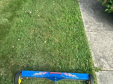 Blue magnetic sweeper with flame decals and yellow wheels being pushed across a green lawn next to a concrete sidewalk and hydrangea bush